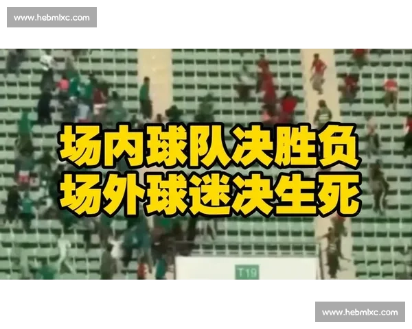 淬炼胜负观,涵养球迷文化 淬炼胜负观,涵养球迷文化