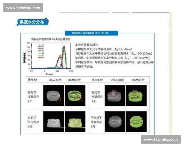 以水分子H2O为核心探讨其在自然界中的多重角色与科学应用
