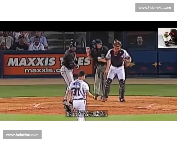 棒球名将榜：从青涩少年到不朽传奇的蜕变